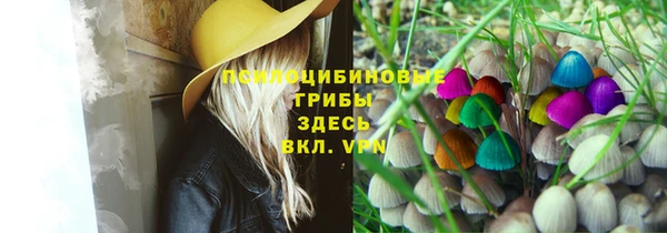 Альфа ПВП Карпинск