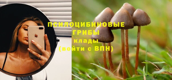 ешки Карталы