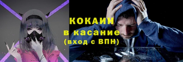 гидра Касимов