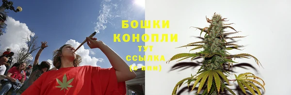 Альфа ПВП Карпинск