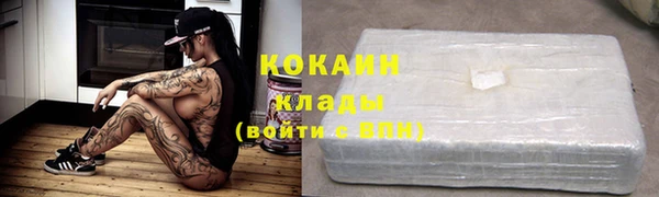 гидра Касимов