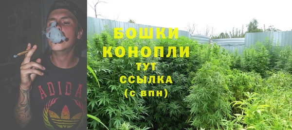 гидра Касимов