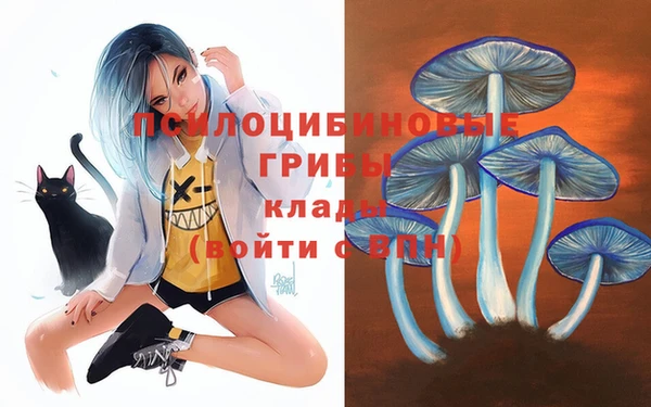 Альфа ПВП Карпинск