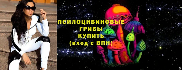 гидра Касимов