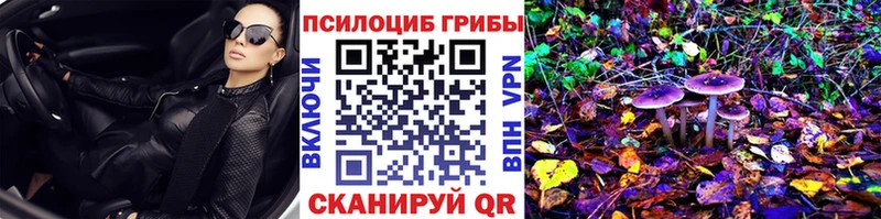 Галлюциногенные грибы Psilocybe  Купить  Балахна 