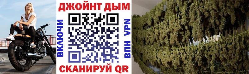 Шишки марихуана семена  Купить  Балахна 